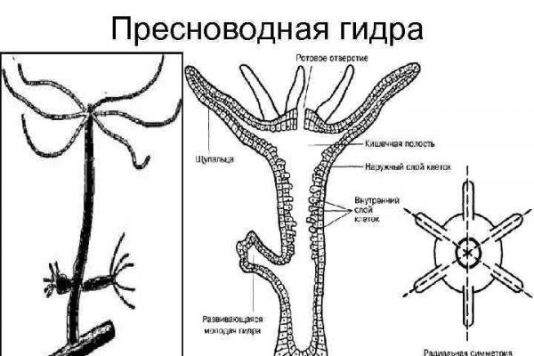 Kraken 4 ссылка kr2web in