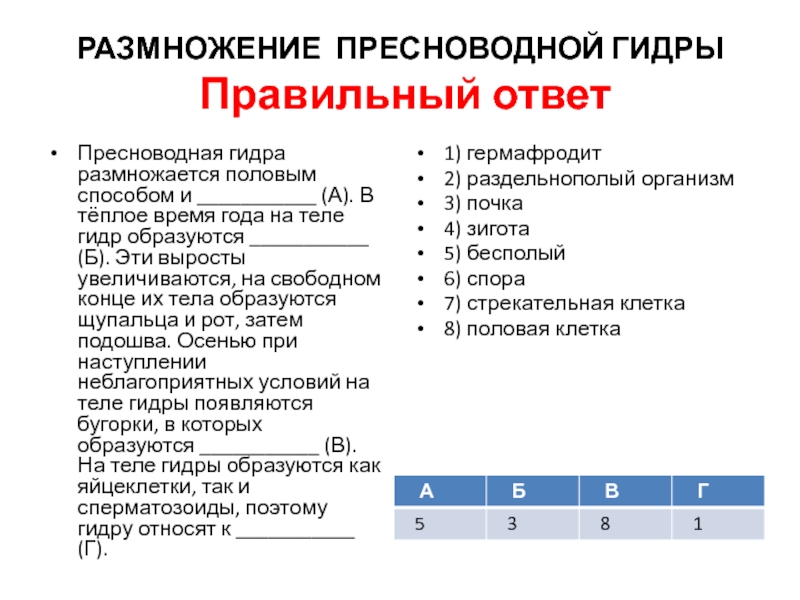 Кракен дарк vtor run